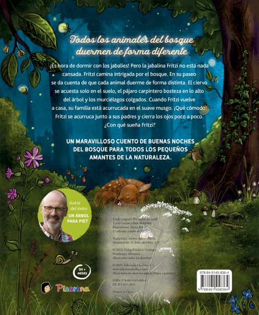 ¿Cómo duerme el bosque? - Imagen 2